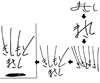 Signatures de Kishimoto