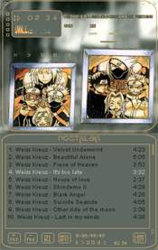 Skin Winamp