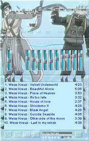 Skin Winamp
