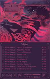 Skin Winamp
