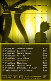 Skin Winamp