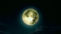 Naruto Shippuden : Ultimate Ninja Storm 3 (7)